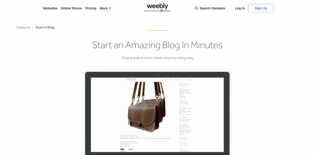 2. Weebly.png