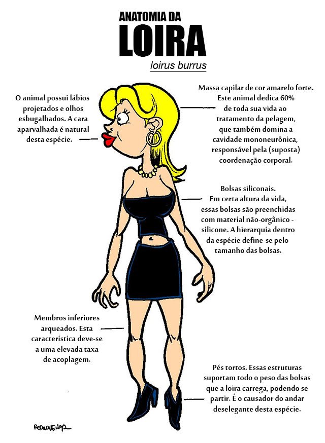 Anatomia-da-Loira.jpg