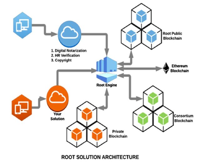 Root_architecture.jpg