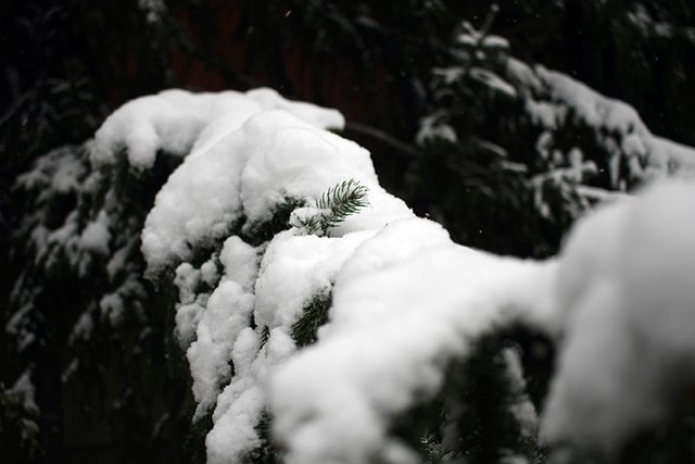Winter_Vibes_n09_s.jpg