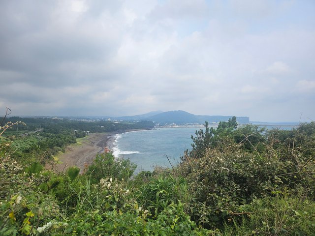 20250913_121705.jpg