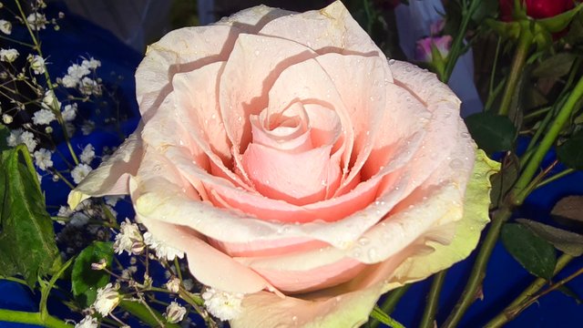 20250421_110657.jpg