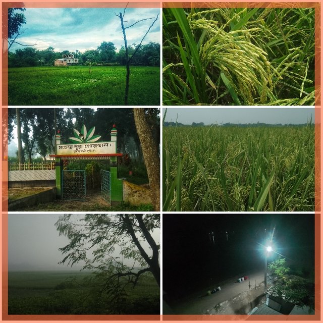 Picsart_23-10-16_07-46-22-823.jpg