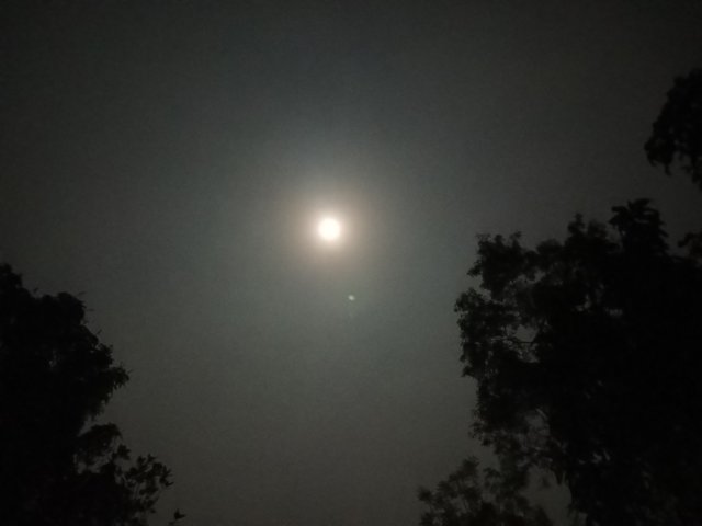 20250311_201019.jpg