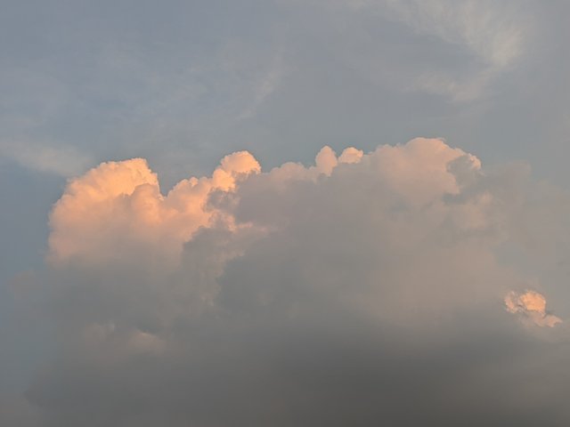 1000030258.jpg