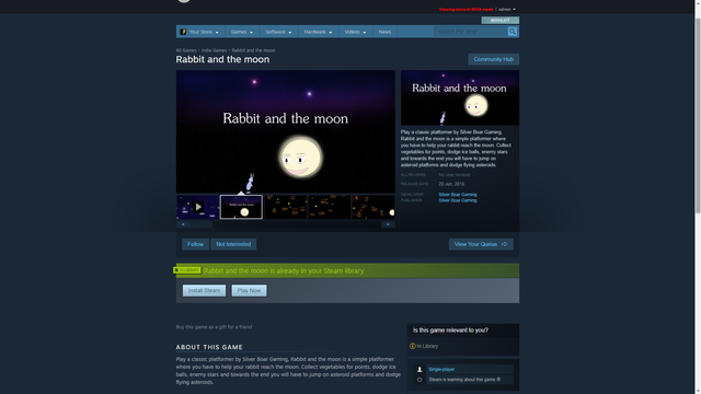 Rabbit and the moon steam store.png
