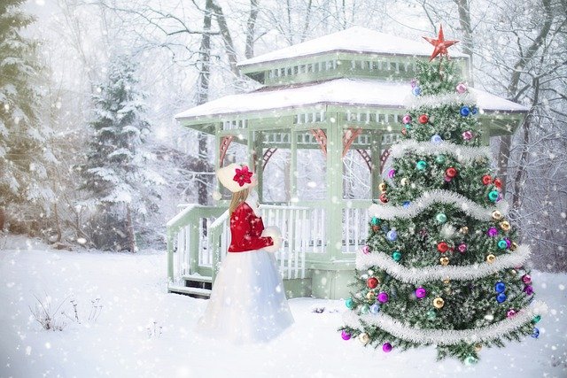 christmas-background-1848203_640.jpg