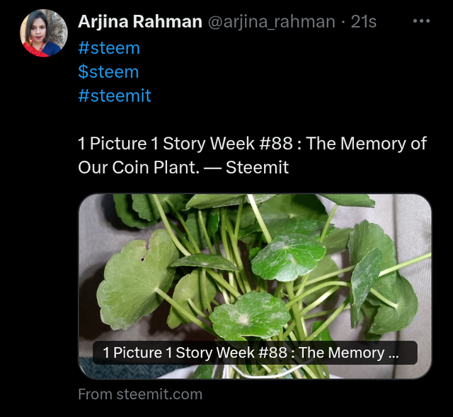 Screenshot_20250525_005835.png