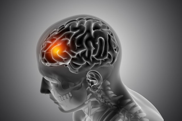 male-medical-figure-with-front-brain-highlighted.jpg