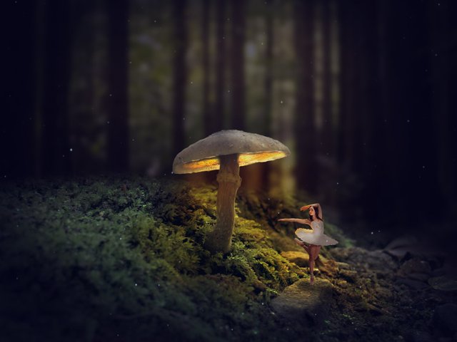mushrooms_13_by_dracoart_stock_docapq.jpg