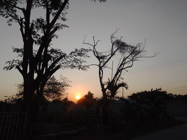 IMG_20240306_065958.jpg