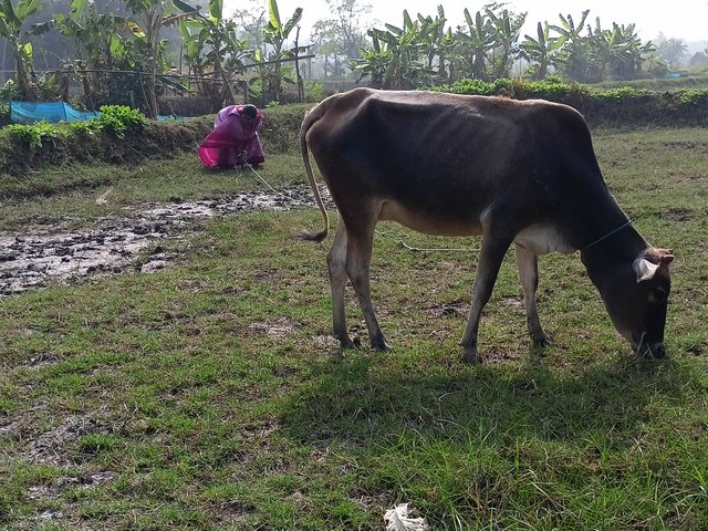 IMG20240109132952.jpg