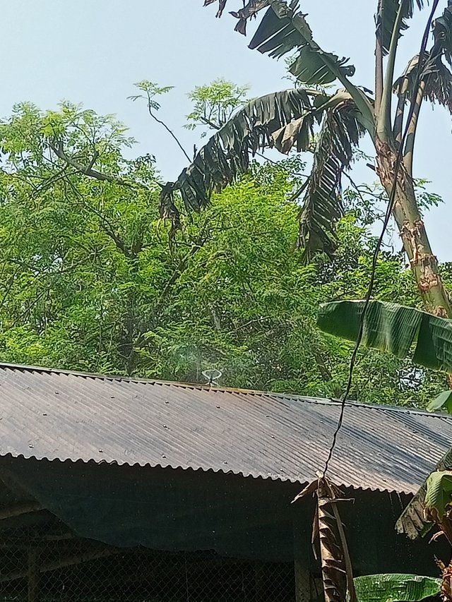 IMG20250509104548.jpg