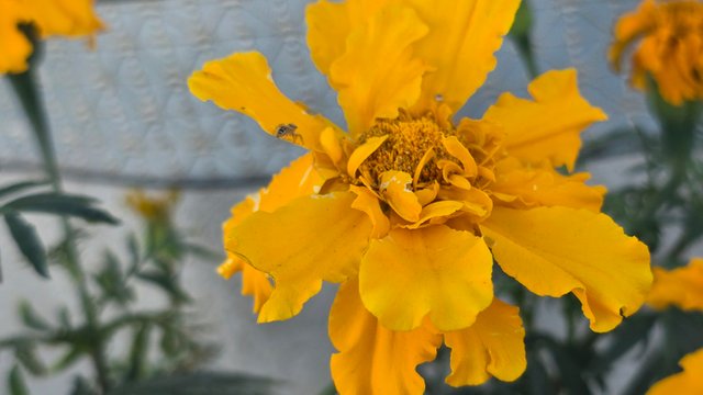 20250330_063754.jpg