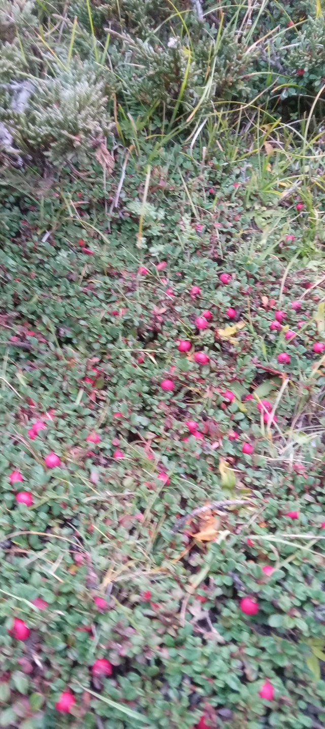 20250912_173401.jpg