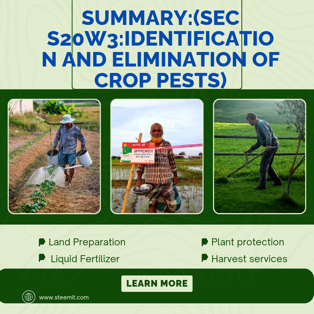 Yellow and Green Organic Agriculture Business Promo Instagram Post_20240929_101528_0000.png