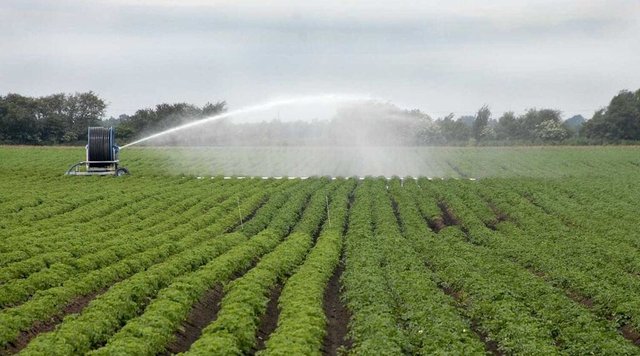 arablecropirrigationirrigatingpotatoplantsirrigatingwaterirrigation4_Main-1024x570.jpg