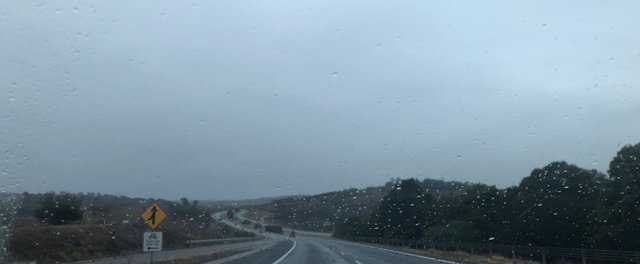 IMG_20250608_133550.jpg