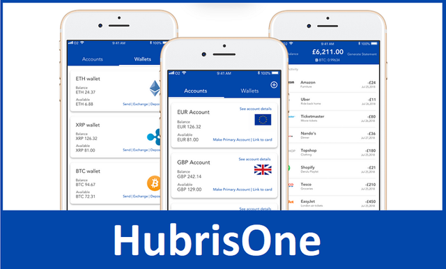 HubrisOne ICO Review.png