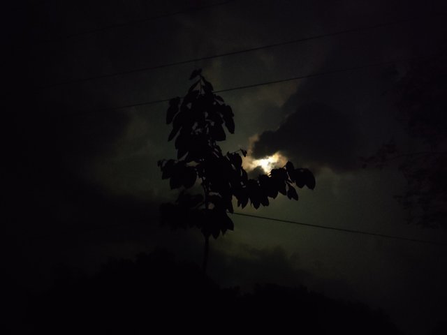 IMG_20250411_195530.jpg