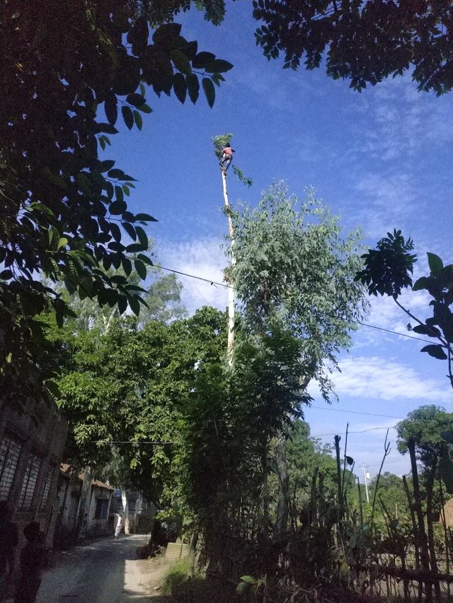 IMG_20190719_081307.jpg
