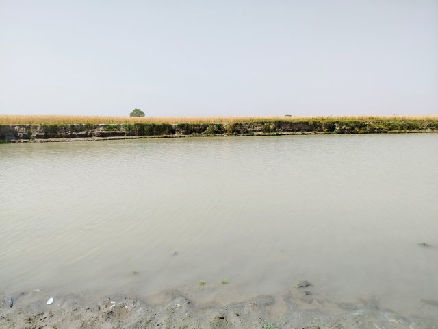 IMG_20250429_235412.jpg