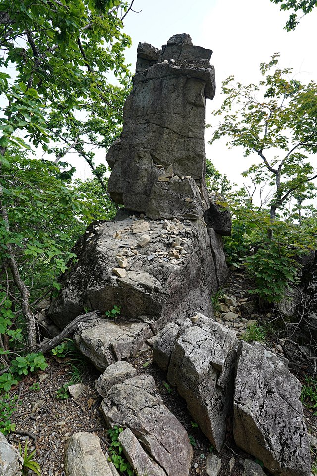 b-DSC07416.JPG