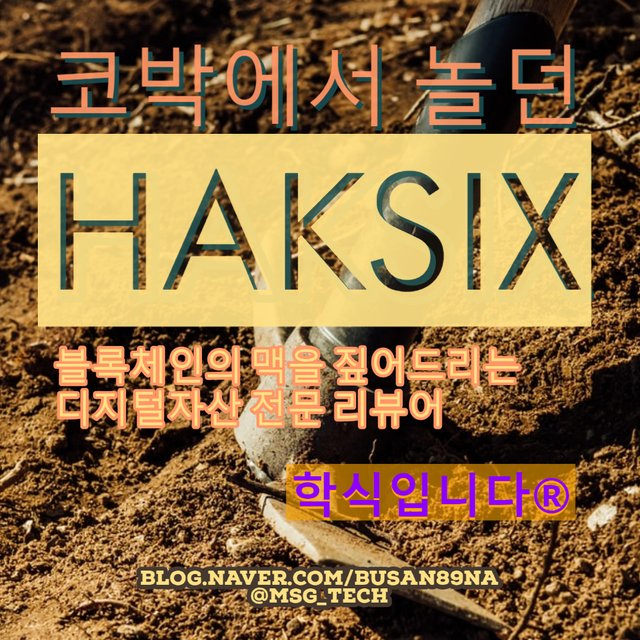 Haksix (1).jpg