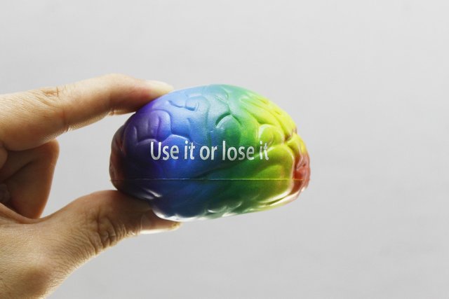 brain-4571119_1280.jpg