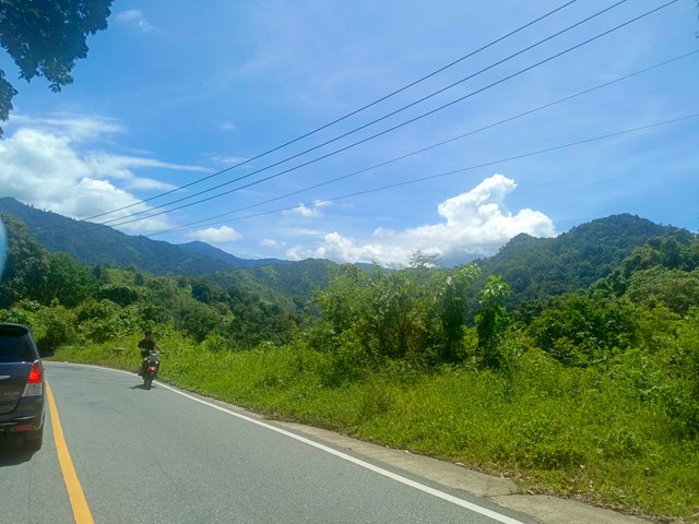 IMG_20240306_114246_099.jpg