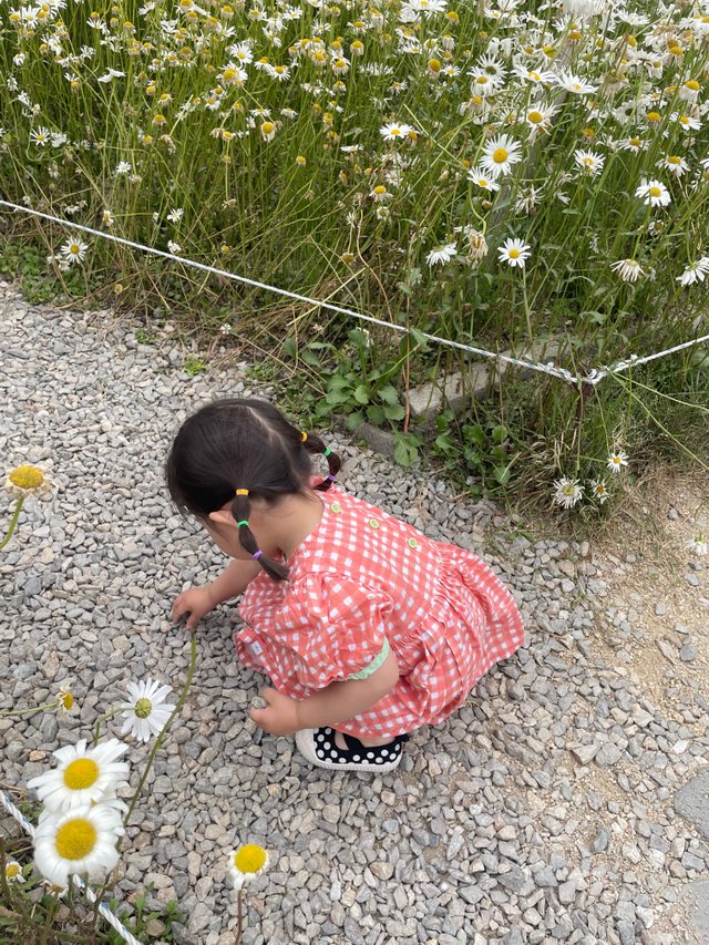 IMG_9992.jpeg