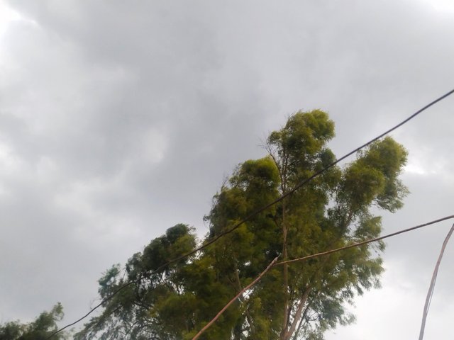 IMG_20250713_180757.jpg