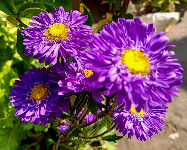 IMG20250116124142.jpg
