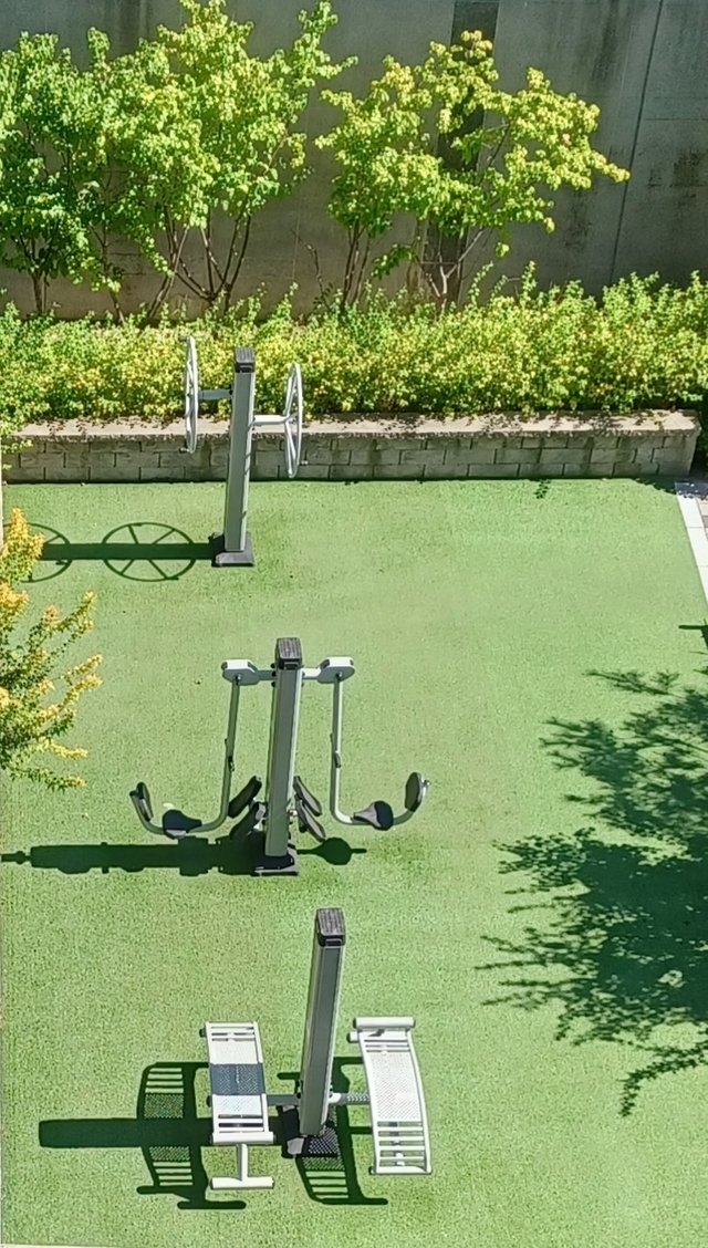 20250725_152550.jpg