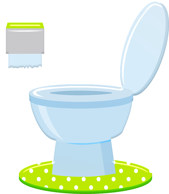 toilet-3636247_640.png