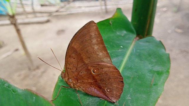 IMG20250520151958.jpg