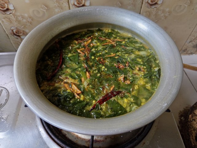 patshak (24).jpg