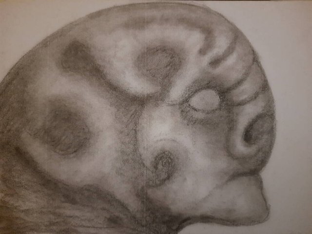 20250711_105636.jpg