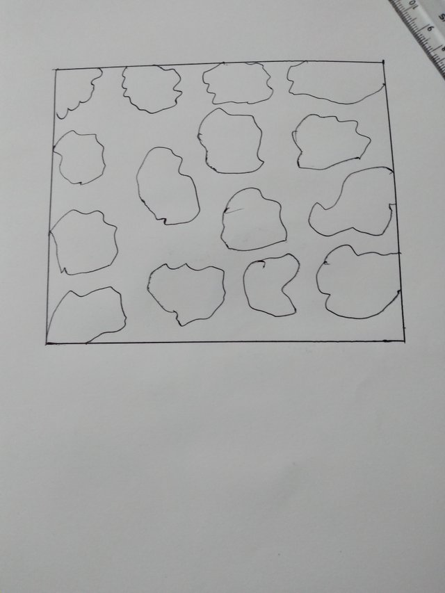 20250727_211218.jpg