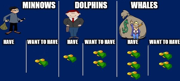 Are you Whales, Dolphins, or Minnows .jpg