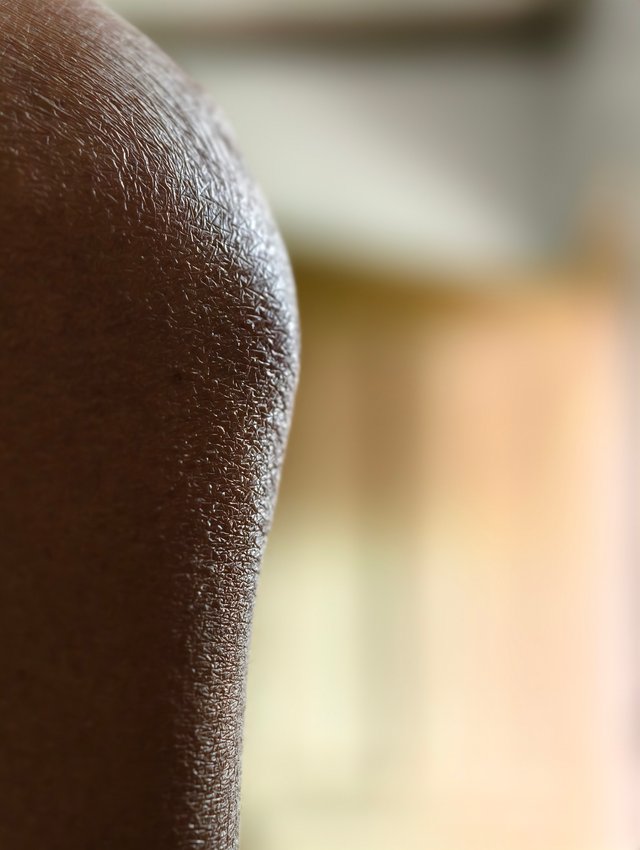 1000009960.jpg