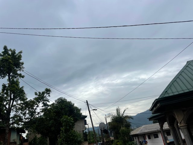 IMG_1238.jpeg
