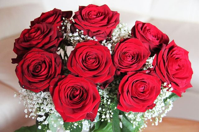 Red roses.jpg