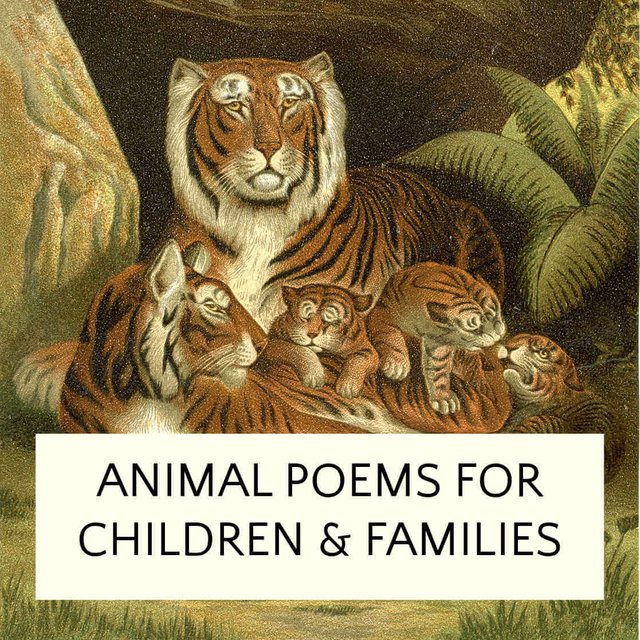 animal-poems-feature.jpeg