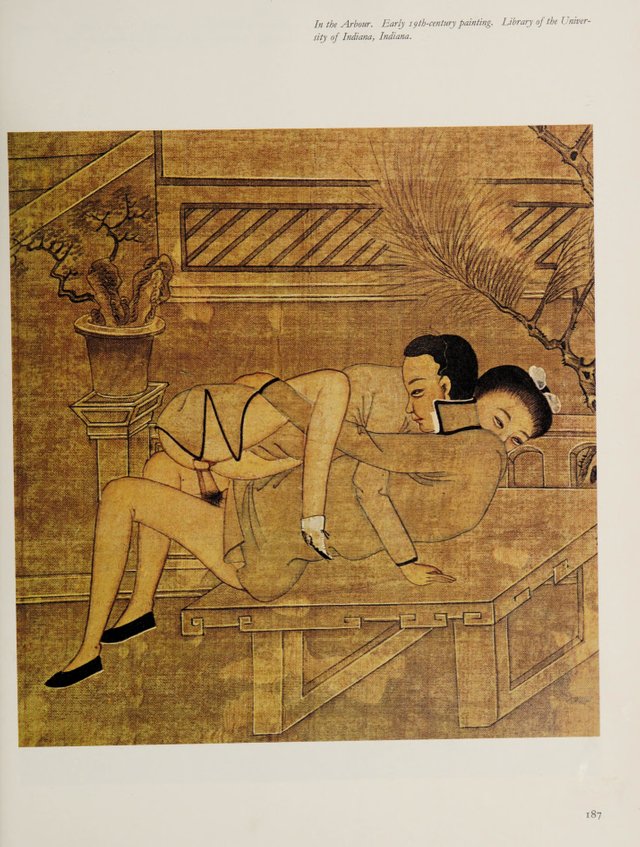 Chinese erotic art.By Michel Beurdeley.英文本.1969年出版_页面_203.jpg