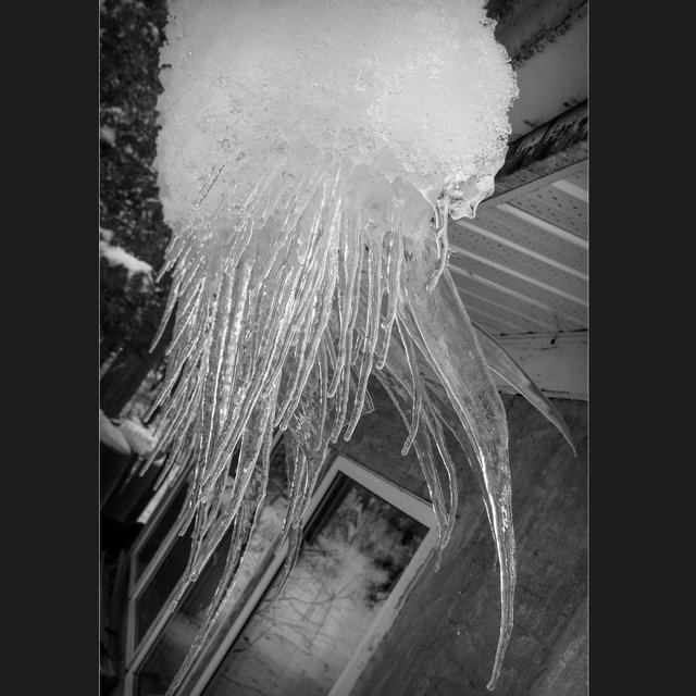 wind and water ice sculptures  icicles black and white.jpg