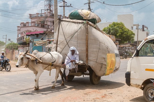 india-4780853_1280.jpg