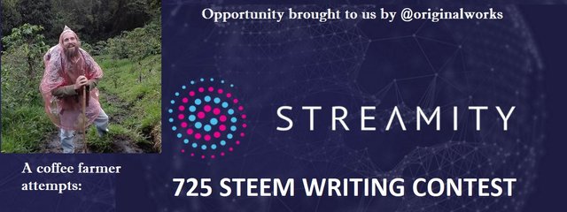 Streamity banner opener.jpg