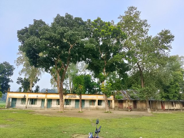 1000049084.jpg