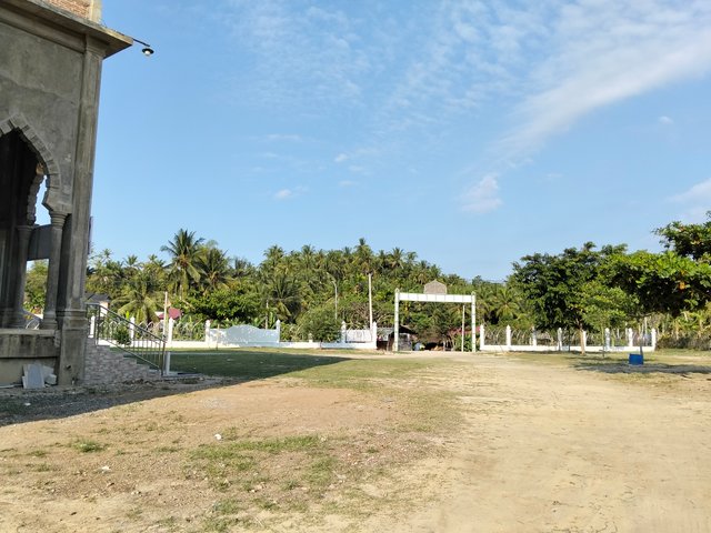 6967.jpg